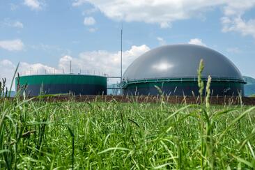 Biogas