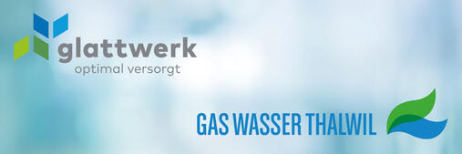 Energie Zukunft Schweiz