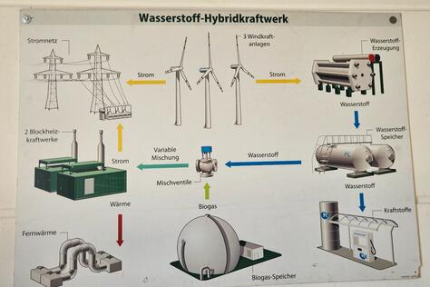 Schema